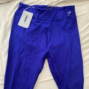 Gym Shark Laser Cut Royal Blue Leggings
